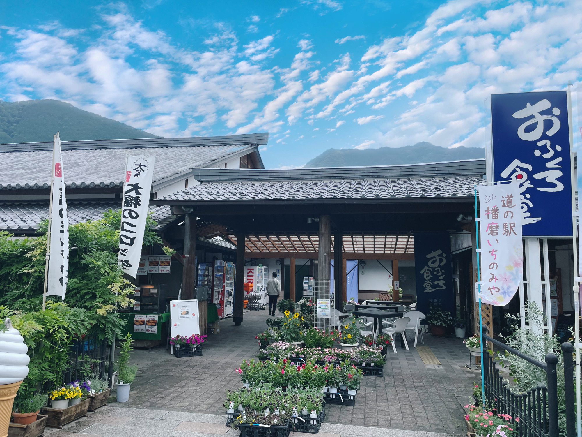 道の駅播磨いちのみや完全ガイド！名物自然薯ランチと伊和神社の魅力