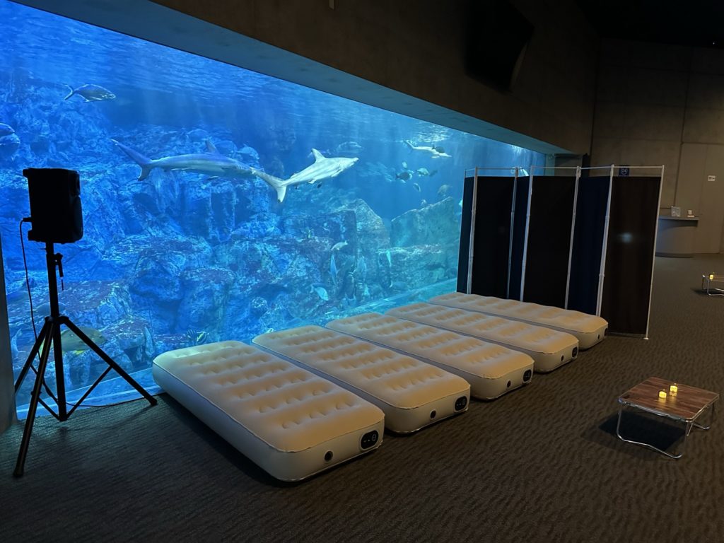 なぜ予約殺到？話題の「お泊り水族館」2026年最新の評判と口コミの真相を徹底調査