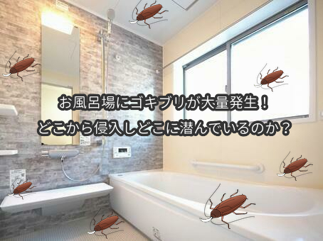 【画像あり】 風呂 場 に ゴキブリ 私服＆私生活最新ショット #876