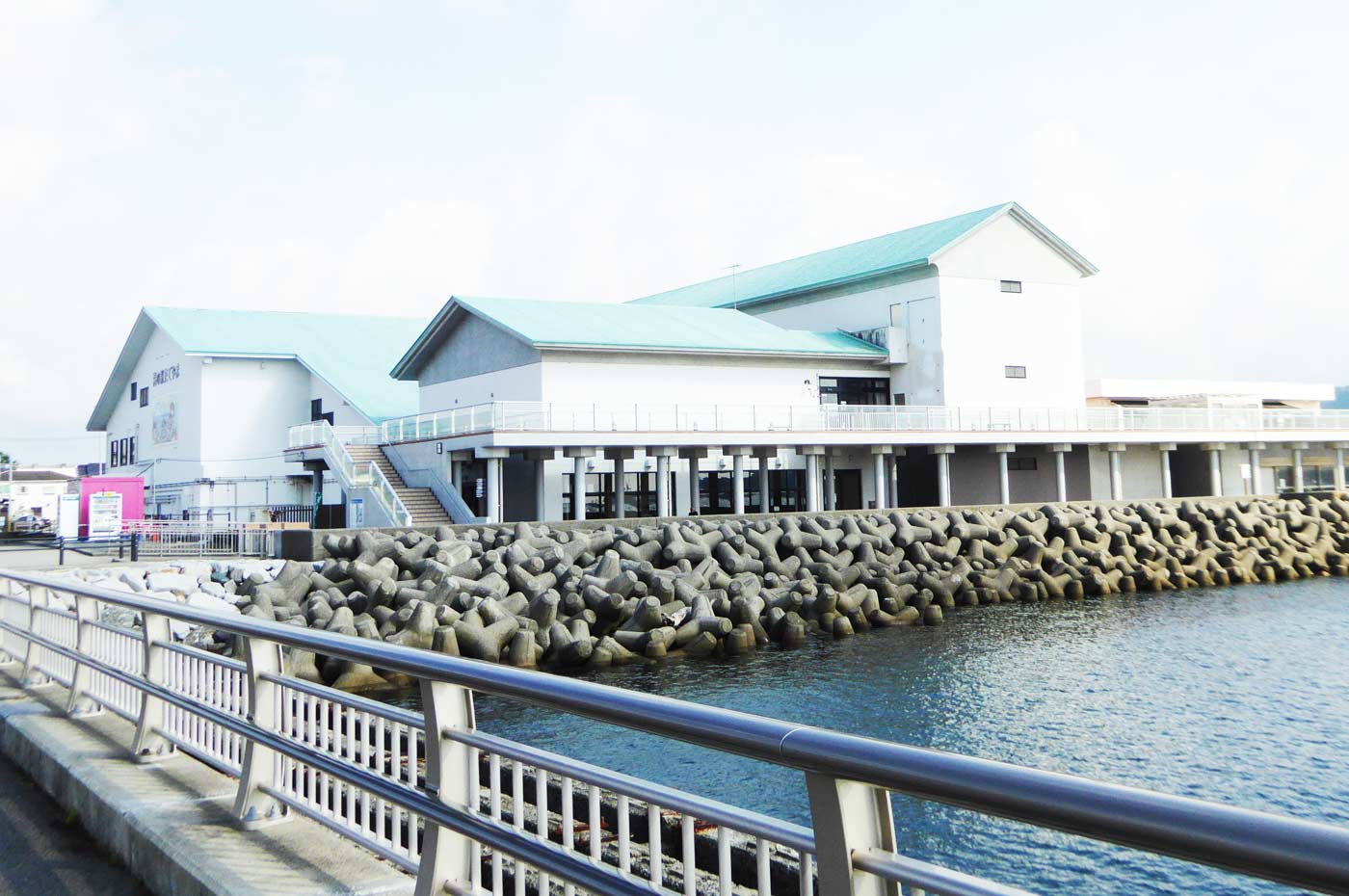 渚の駅たてやま徹底解剖！さかなクン展示と海鮮ランチ・夕日の見どころ