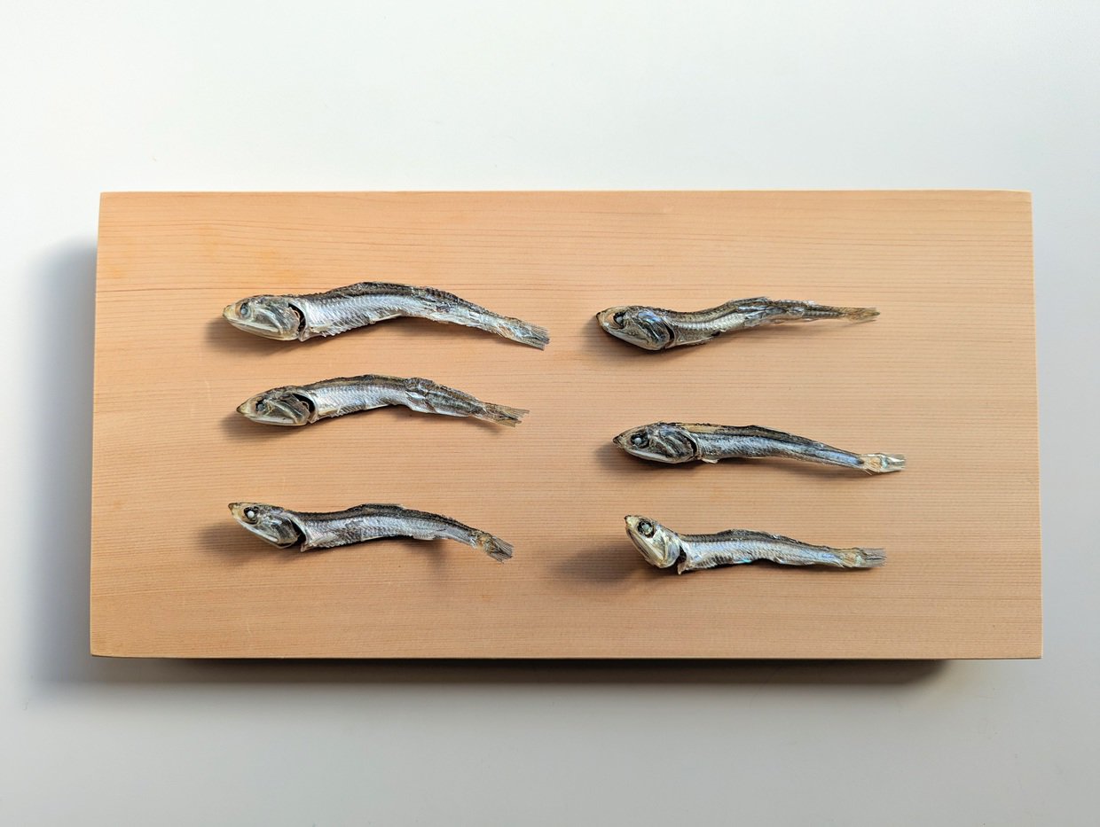 煮干しといりこの違いは？実は同じ魚！東西の呼び名の真相と使い分けを徹底解説