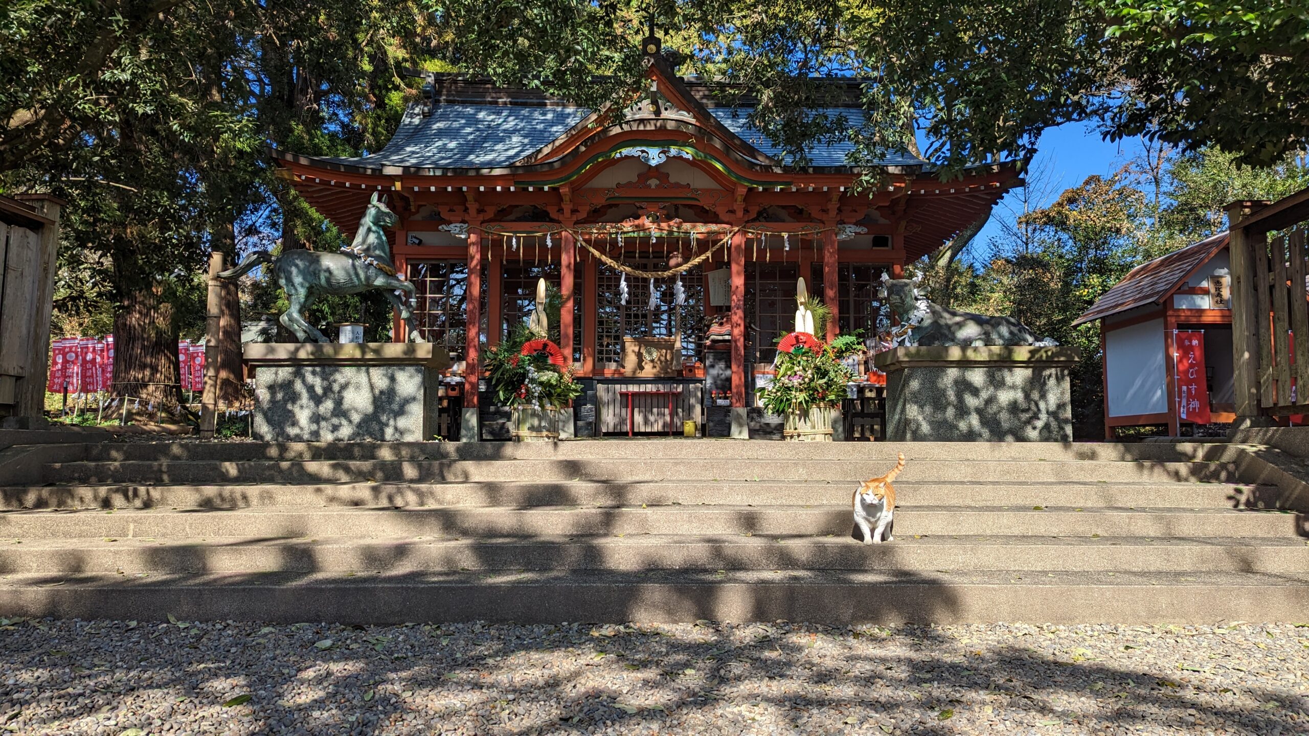 【宮崎】静寂に包まれた白髭神社の魅力！神秘の由緒と御朱印情報