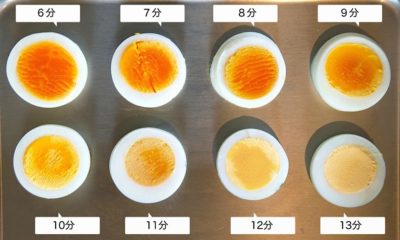 【Wiki風】 生 卵 賞味 期限切れ 公式インスタ・X最新情報 #952