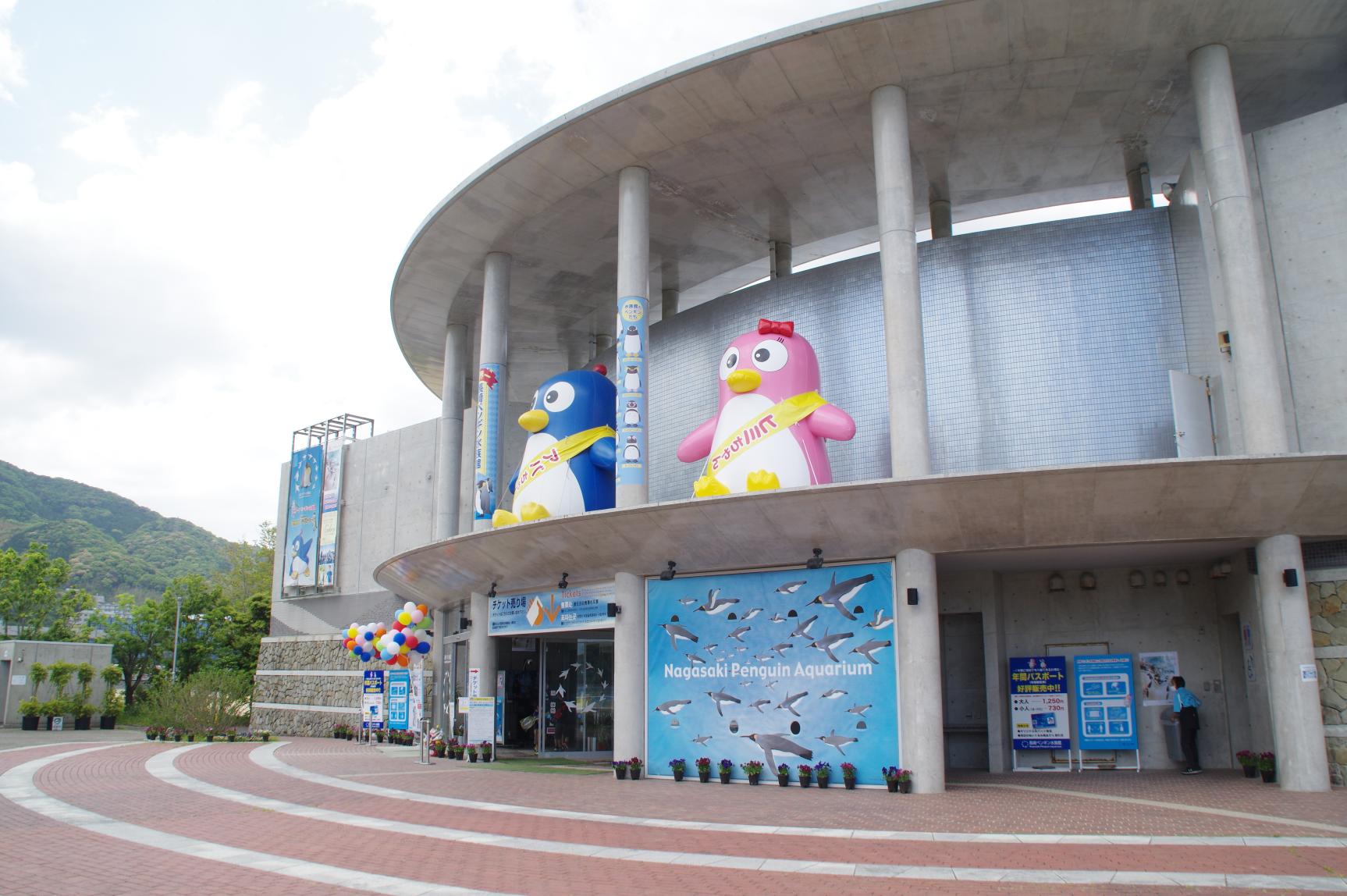 長崎ペンギン水族館の魅力解剖！世界最多9種とふれあう完全ガイド