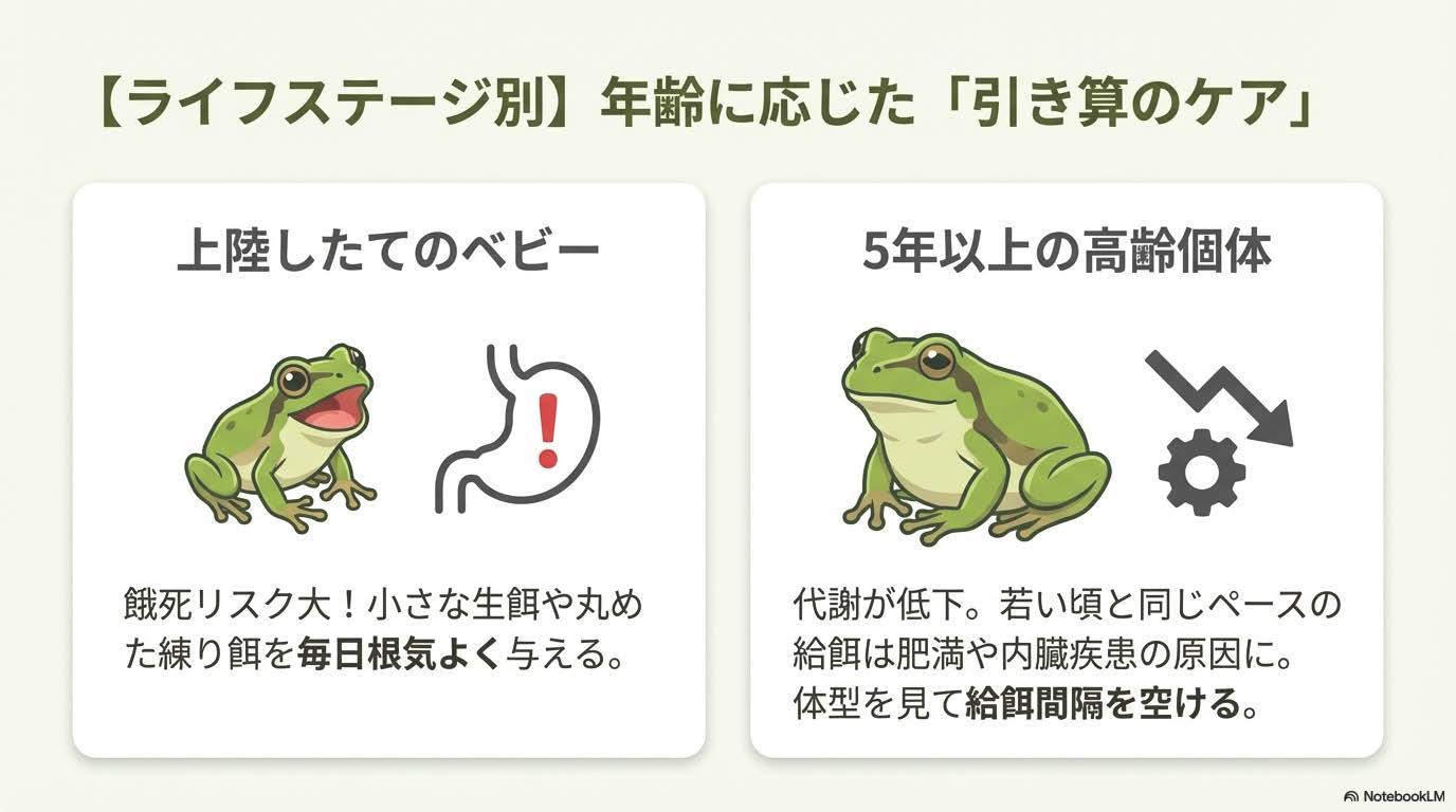 カエルの寿命は何年？種類別の平均年数と長生きさせる飼育の極意【2026年最新】