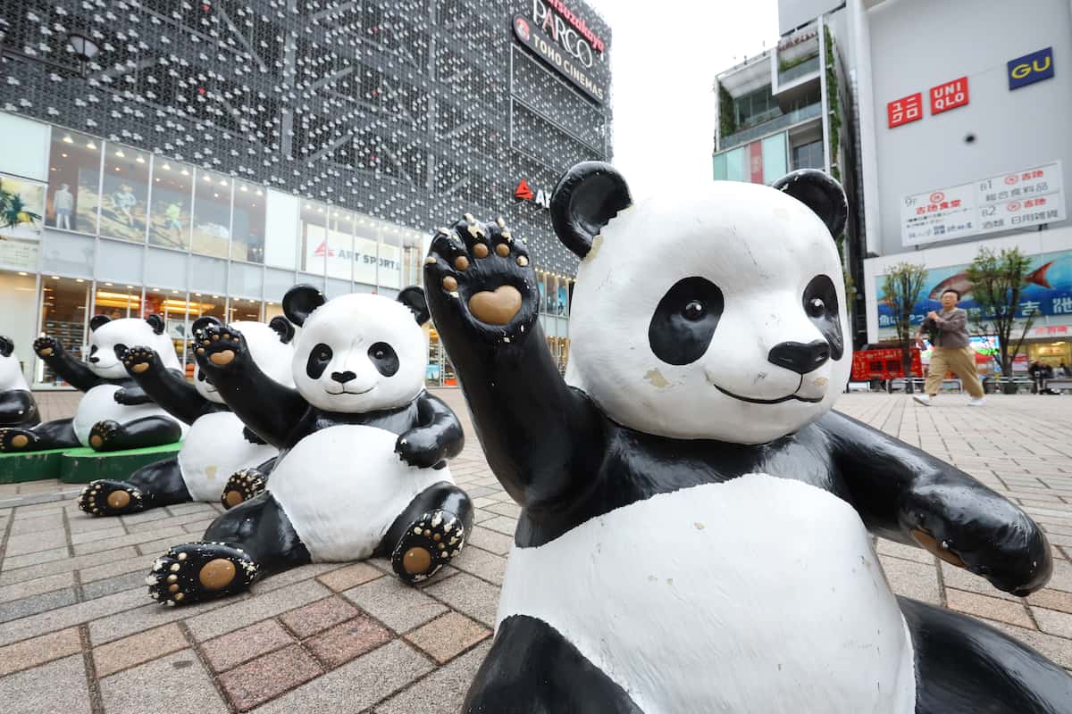 御徒町パンダ広場の人気沸騰はなぜ？イベント＆屋台の最新実態を総力調査