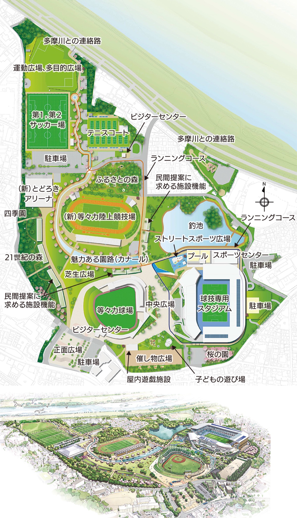 等々力運動広場の予約・料金・混雑を徹底解剖【2026年最新版】