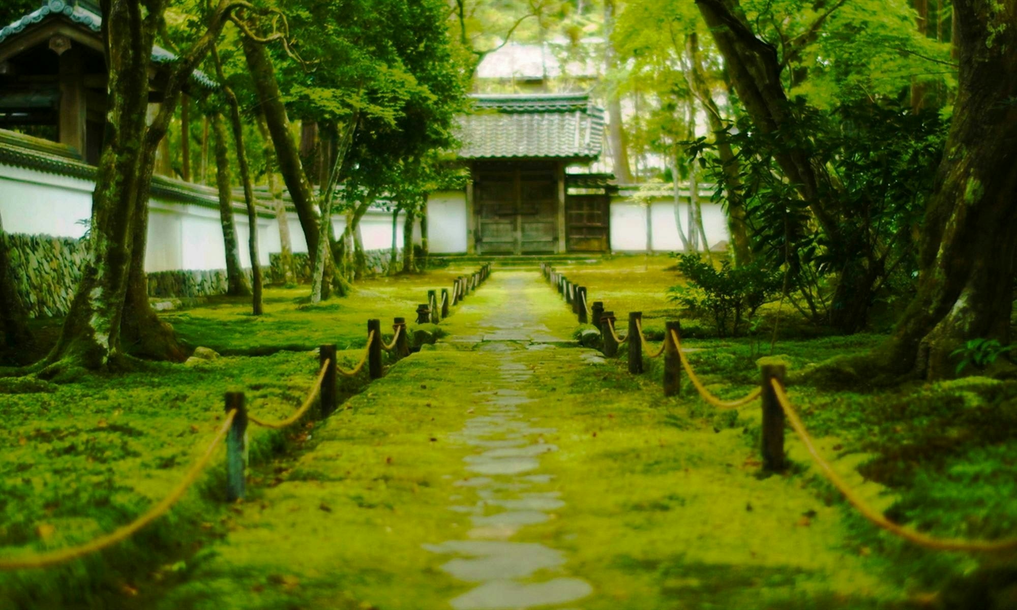 西芳寺（苔寺）予約の取り方と拝観料の真相｜見頃や参拝手順を徹底解説