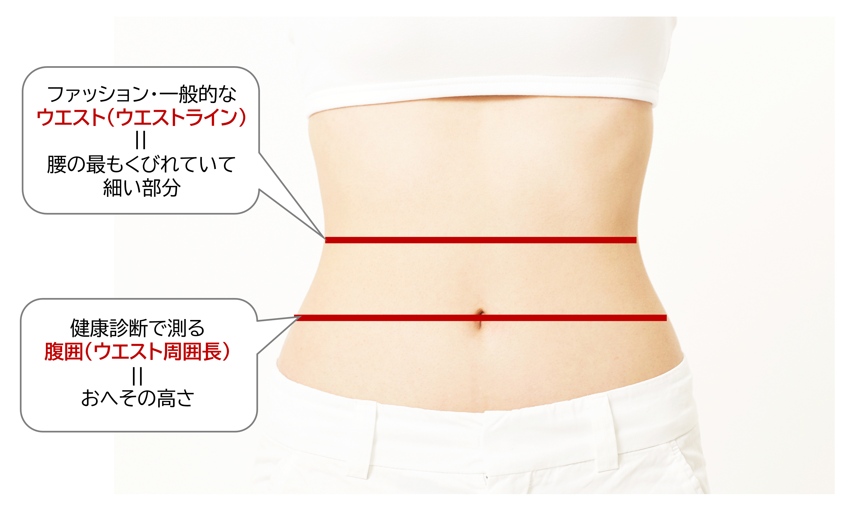 実は勘違いだらけ？正しいウエストの測り方と服選び・健診基準の完全ガイド