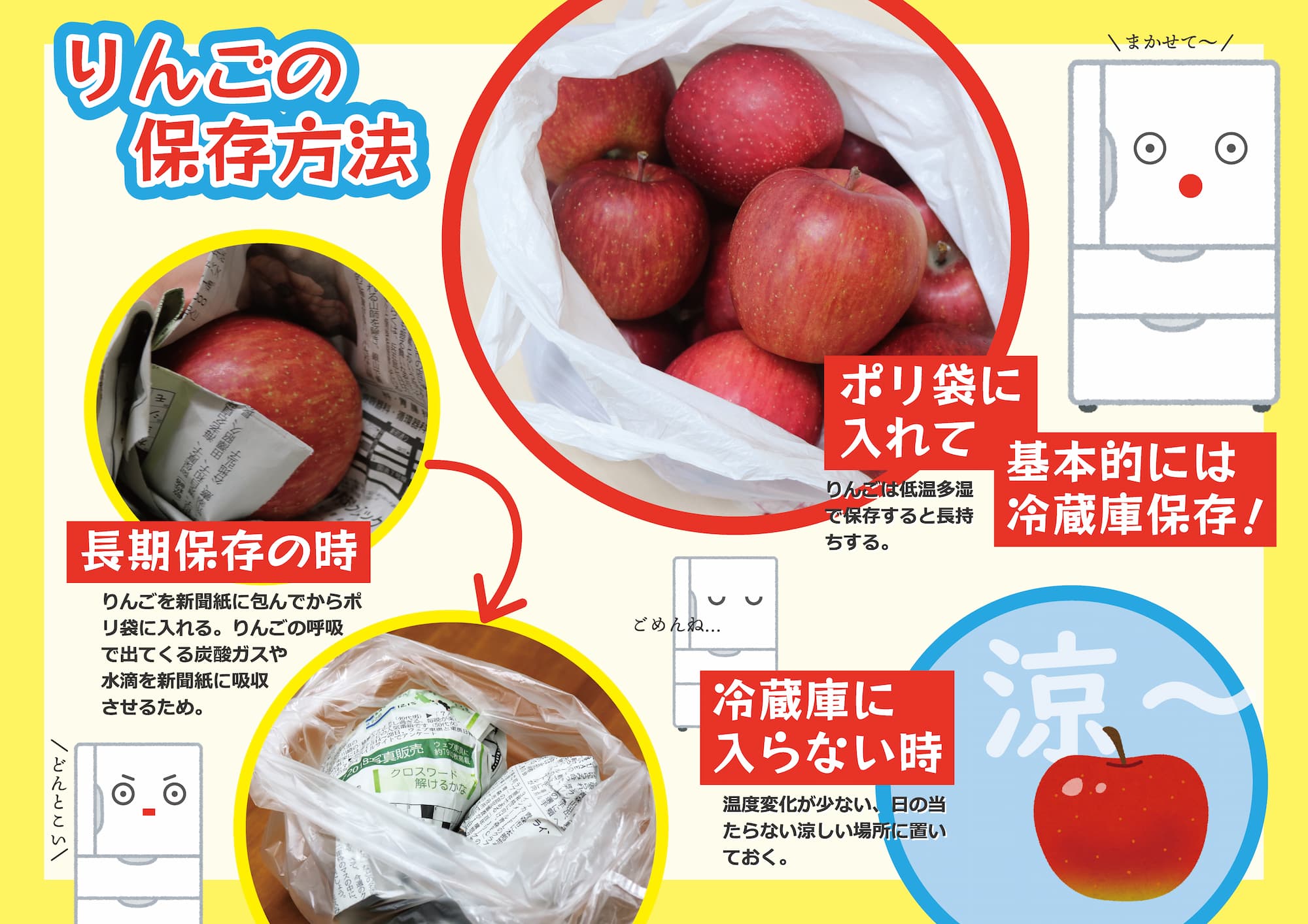 りんご保存方法の正解！プロ直伝の長持ち裏技とNg行動を徹底解説