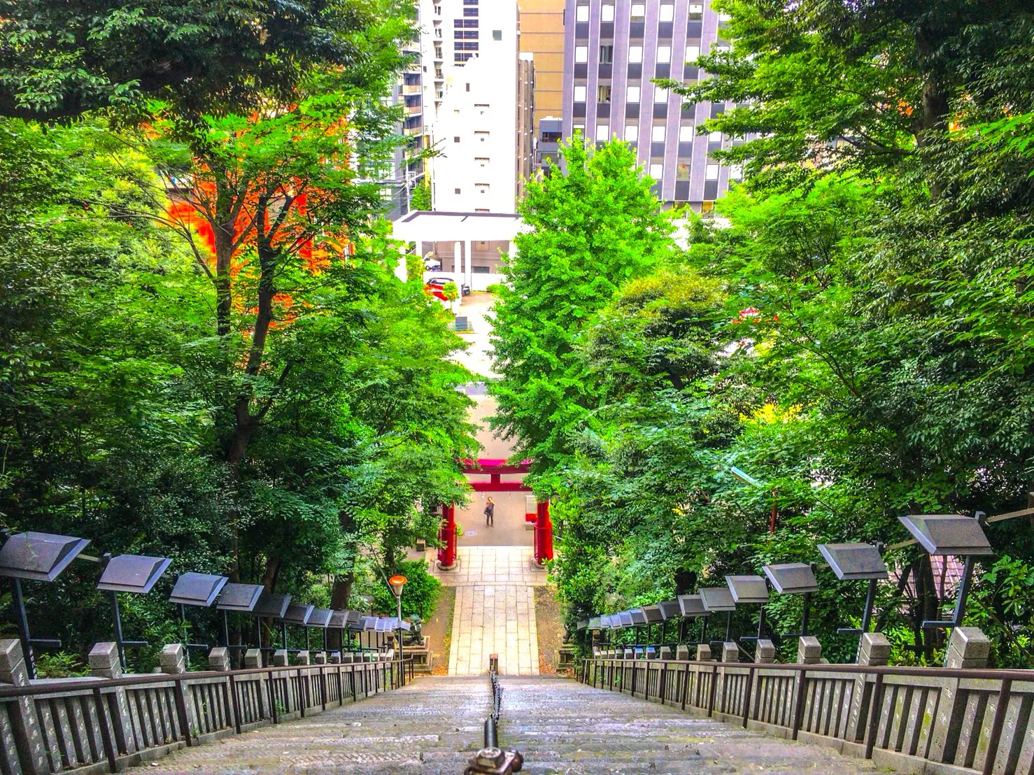 東京23区最高峰・愛宕山の真相｜出世の階段の謎と2026年歩き方