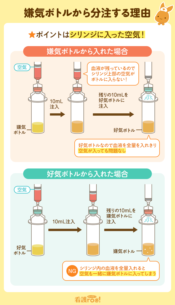 血液培養手順の実践マニュアル｜2セット採取の理由と好気嫌気の鉄則