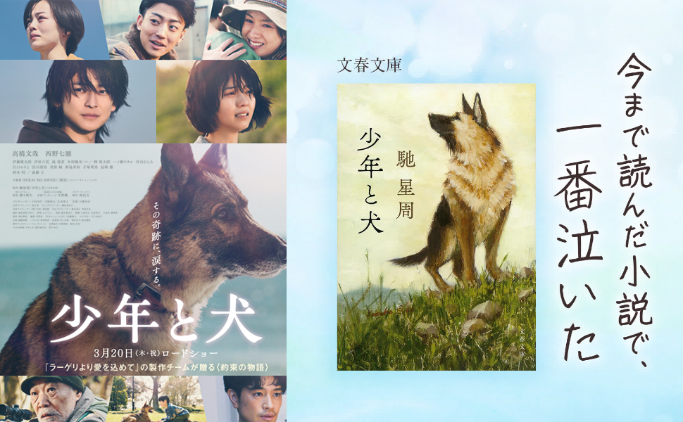 2026年、世界を動かす「言葉なき絆」——『少年 と 犬』が今、傷ついた時代に問いかけるもの