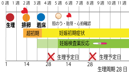 【画像あり】 妊娠 初期 症状 ない 経歴＆学歴まとめ 2026 #920