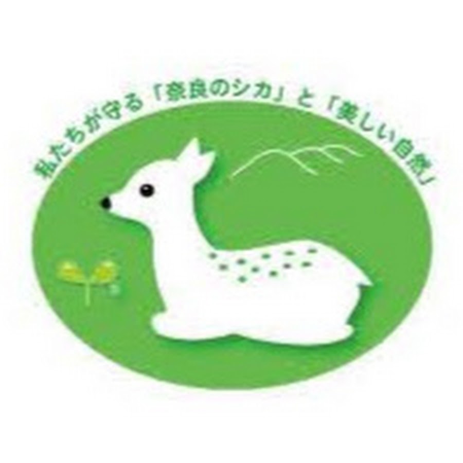 奈良の鹿愛護会を巡る疑惑と真相｜獣医師告発から現在までの全貌