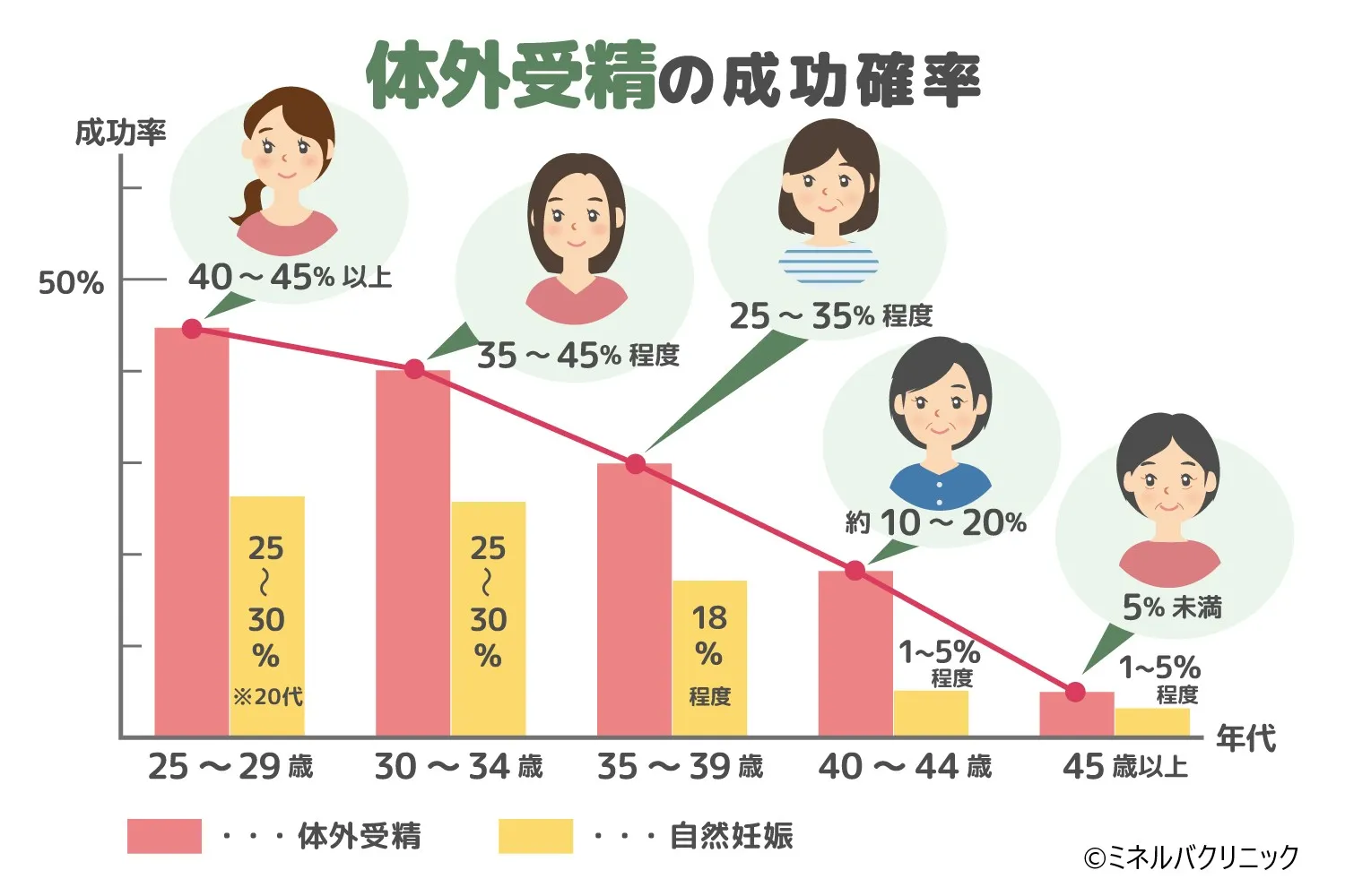 体外受精の確率は何回目で決まる？年齢別の成功率と最新データを徹底解明