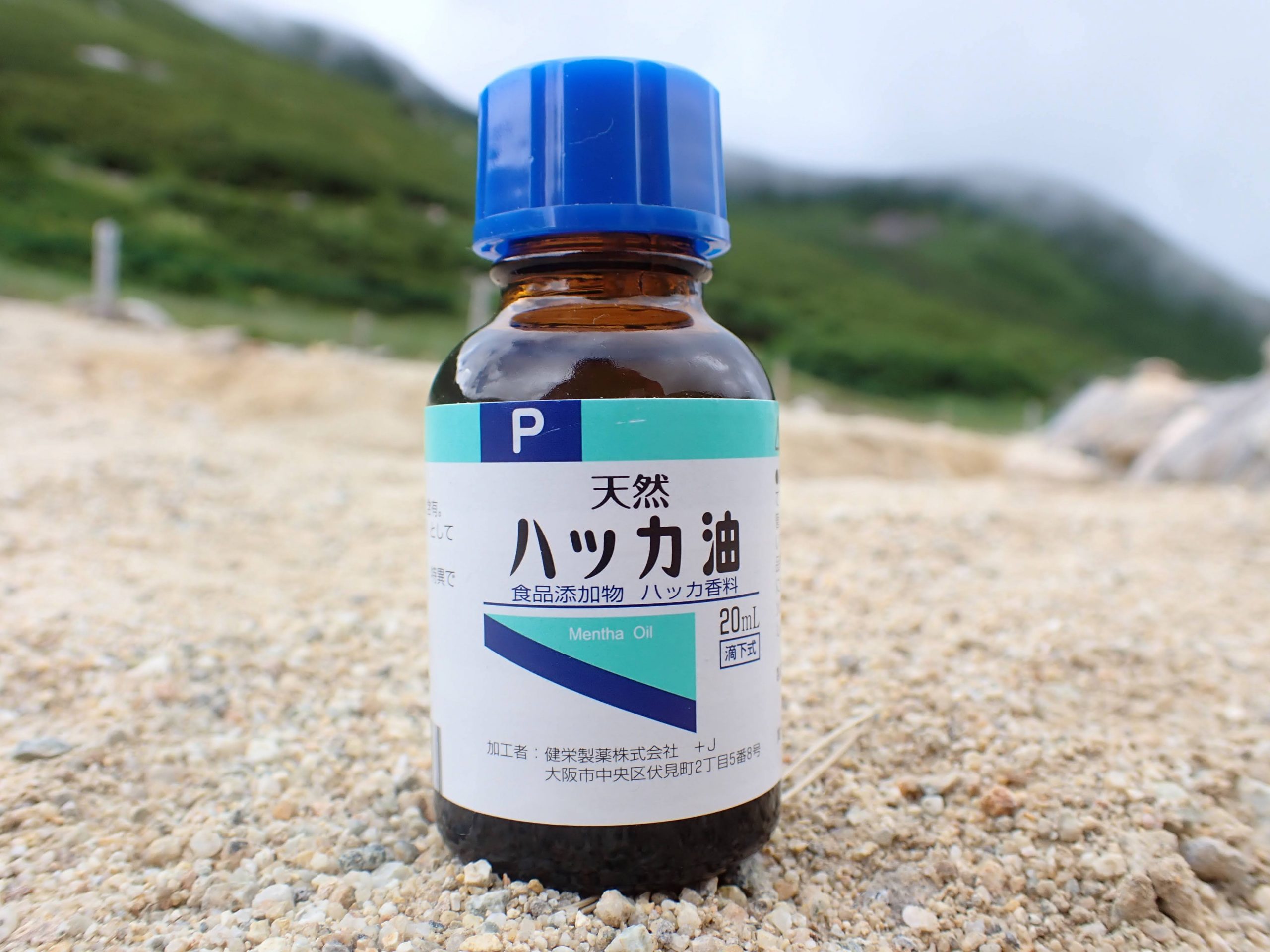 ハッカ油虫除けの真相！効果なしの理由とハチの噂・黄金比率【2026】