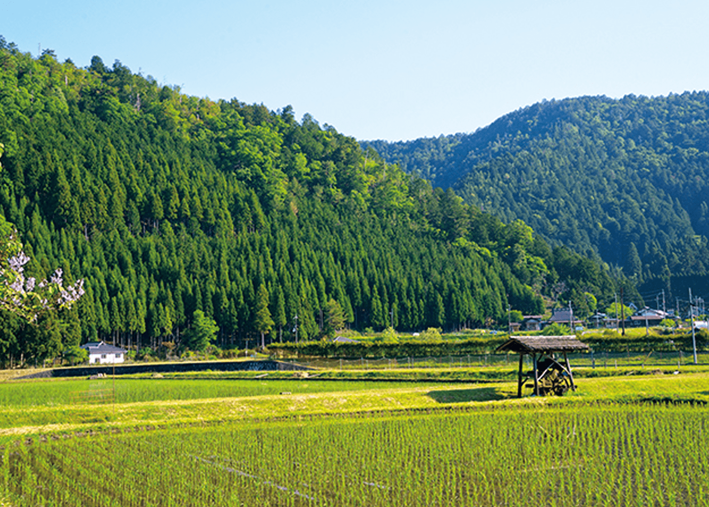 明智光秀の城と里山再生｜京北周山町の観光・移住・グルメ真相