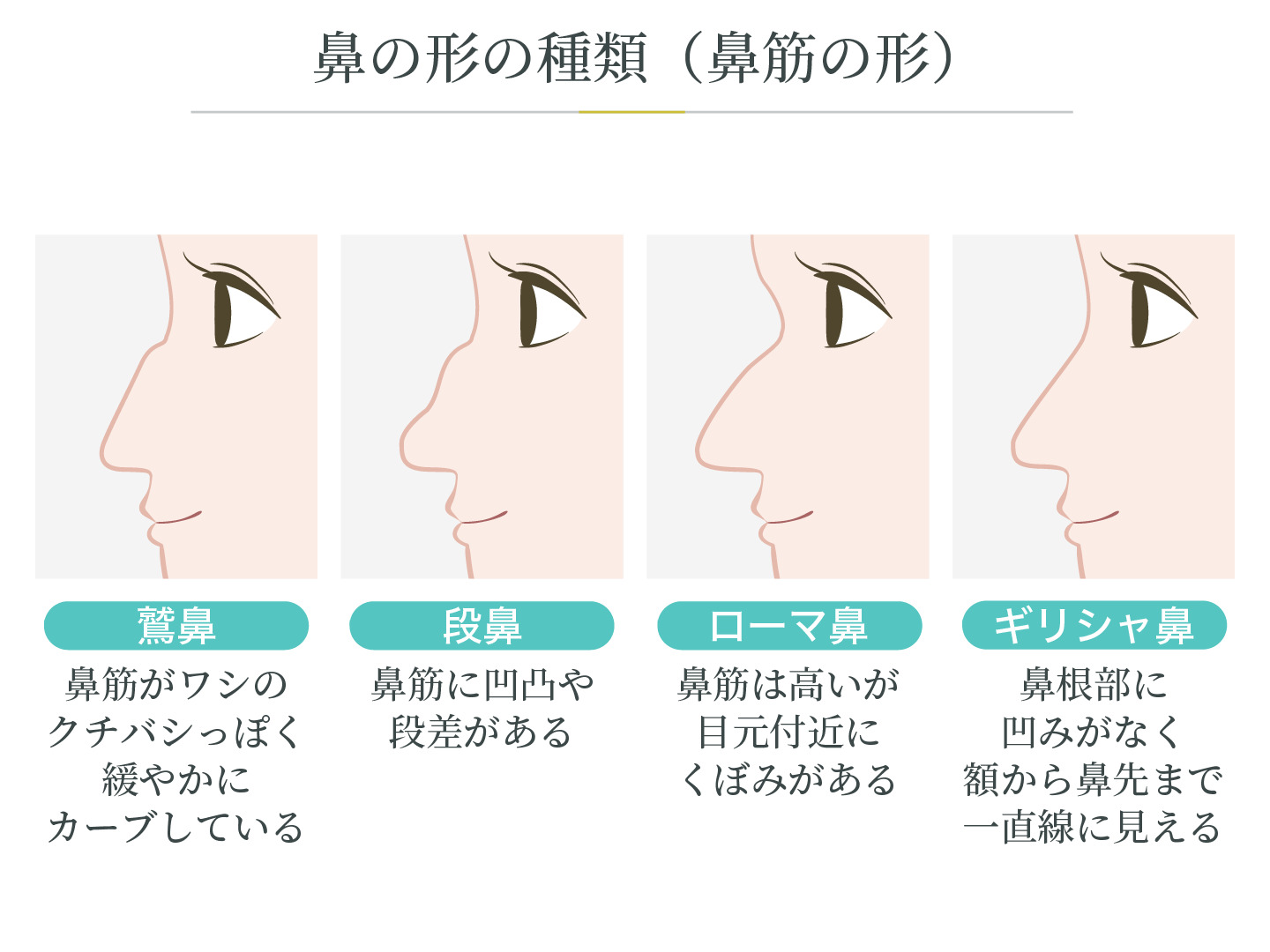 鼻の形全種類一覧と人相学診断！自力改善の真相と理想の鼻筋メソッド