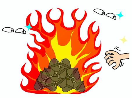 【必見】 火 中 の 栗 を 拾う 意味 徹底解説＆真相まとめ #751