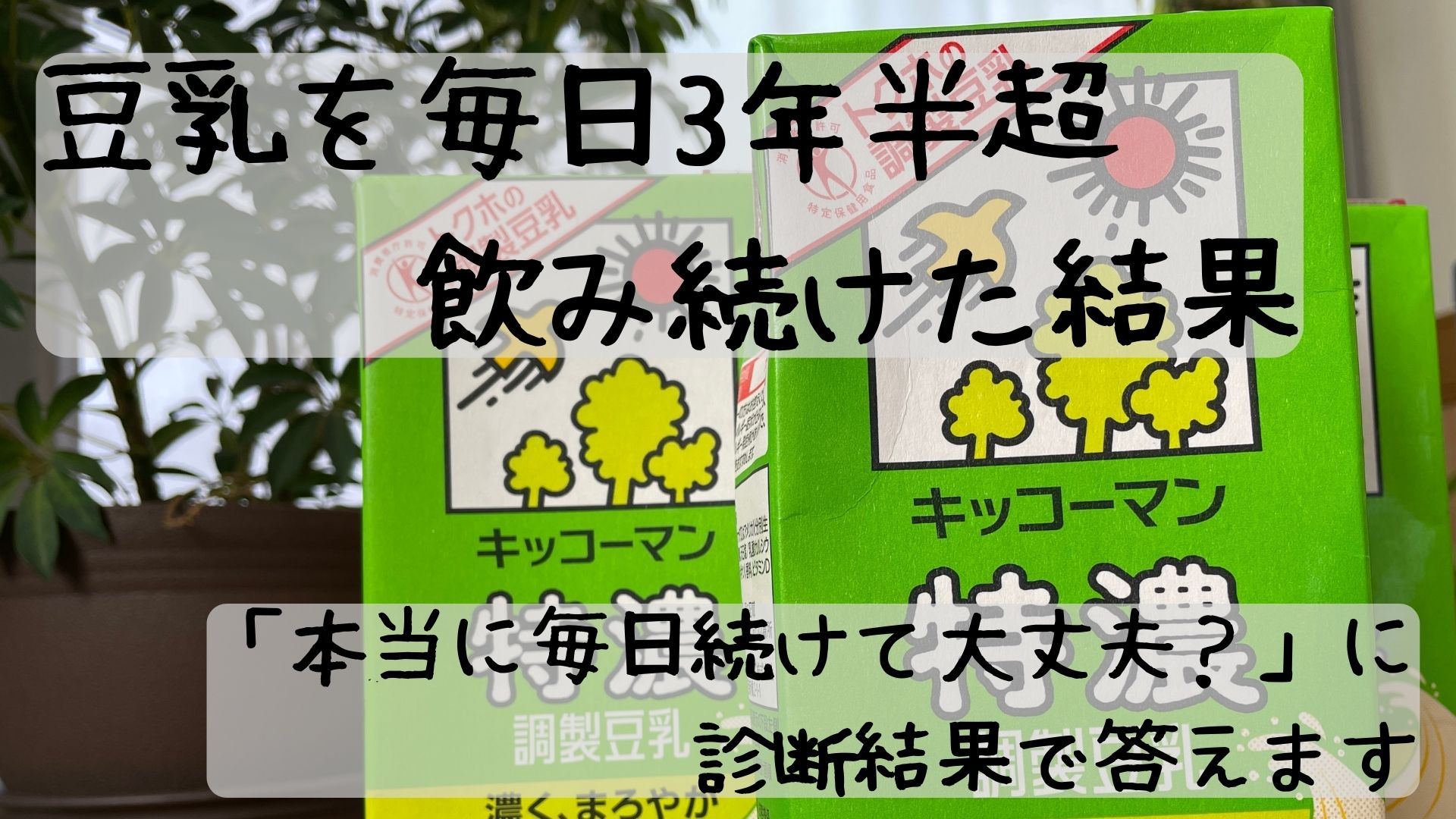 豆乳を3年半飲み続けた結果は？肌やホルモン変化と体調のリアル