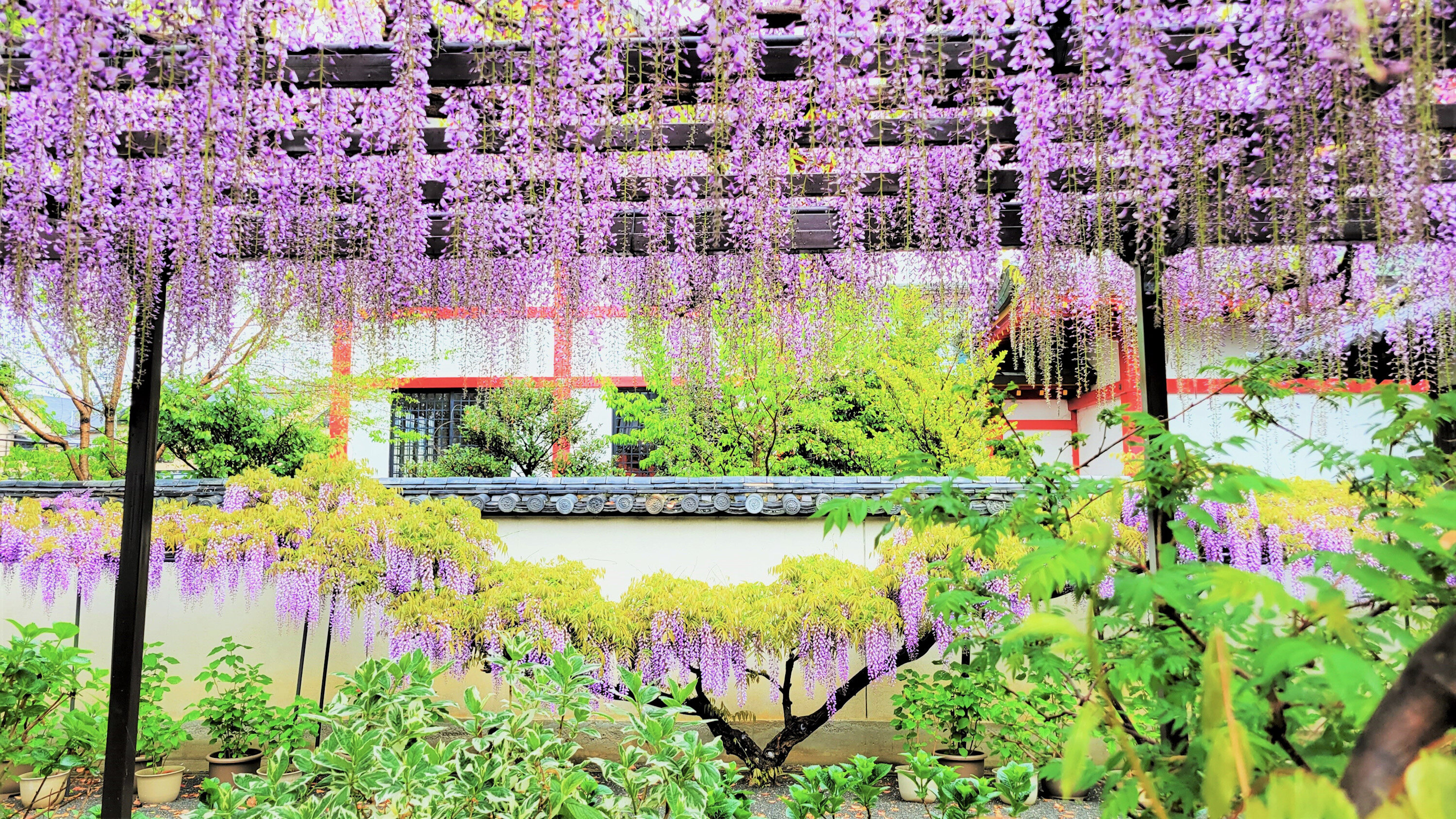 泉佐野・奈加美神社の歴史とご利益！御朱印や秋祭りだんじり徹底解説