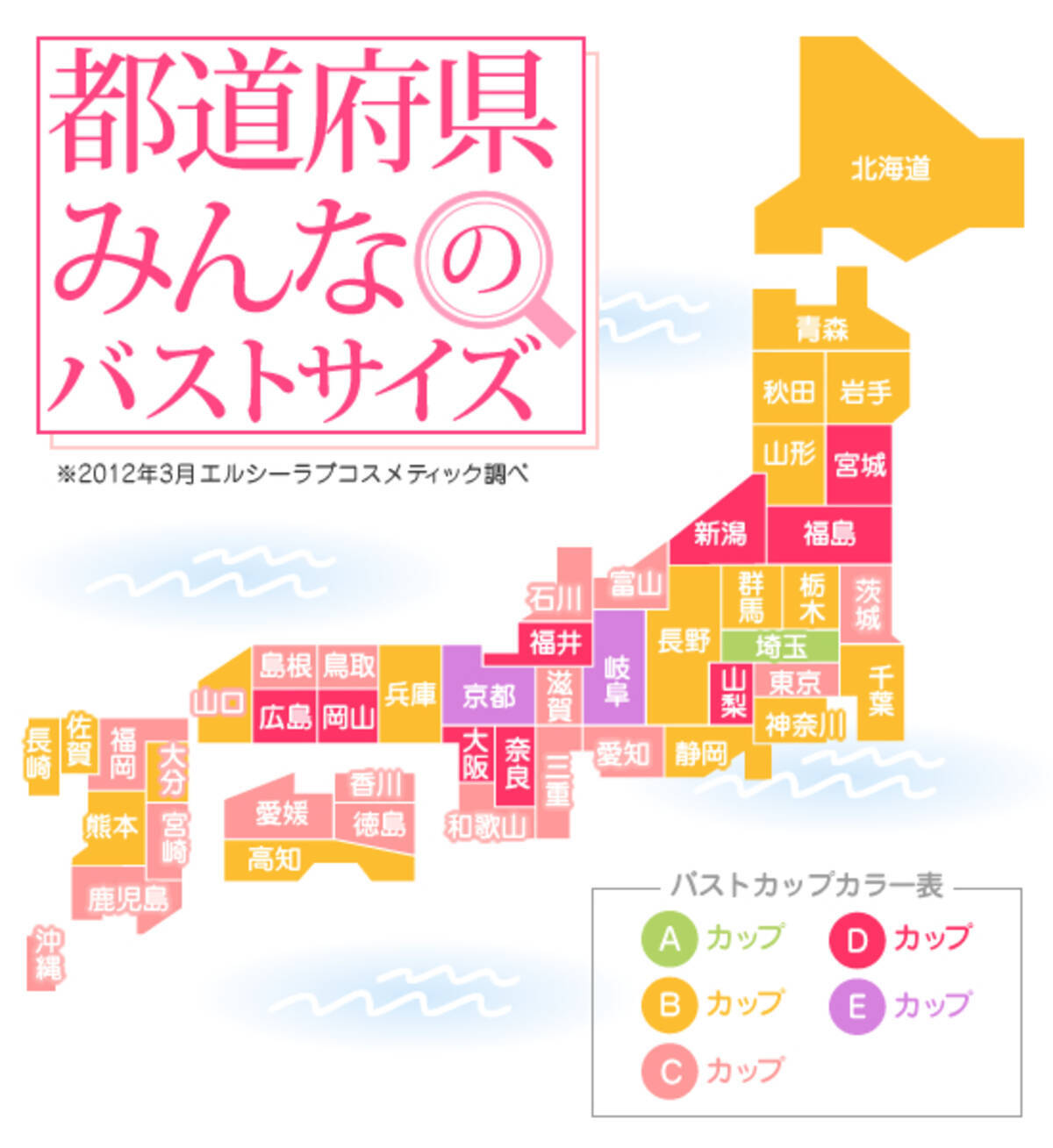 日本人女性の平均カップ数は何カップ？昔との変化と最新データ検証