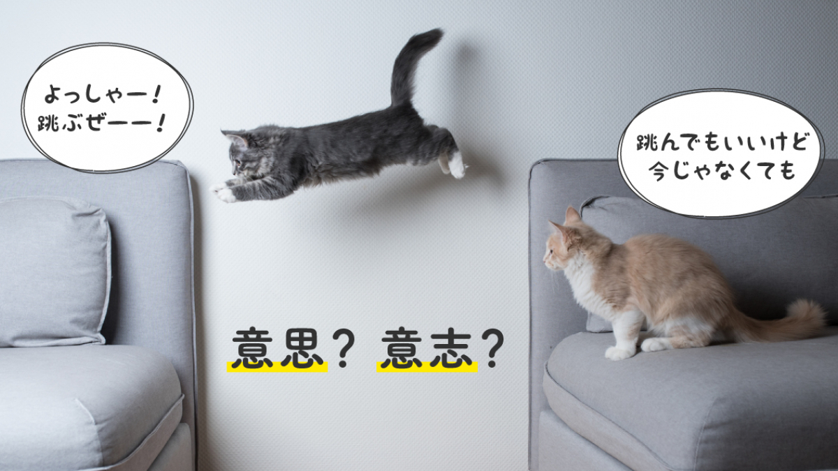 意志と意思の違いとは？ビジネスメールで恥をかかない使い分け基準