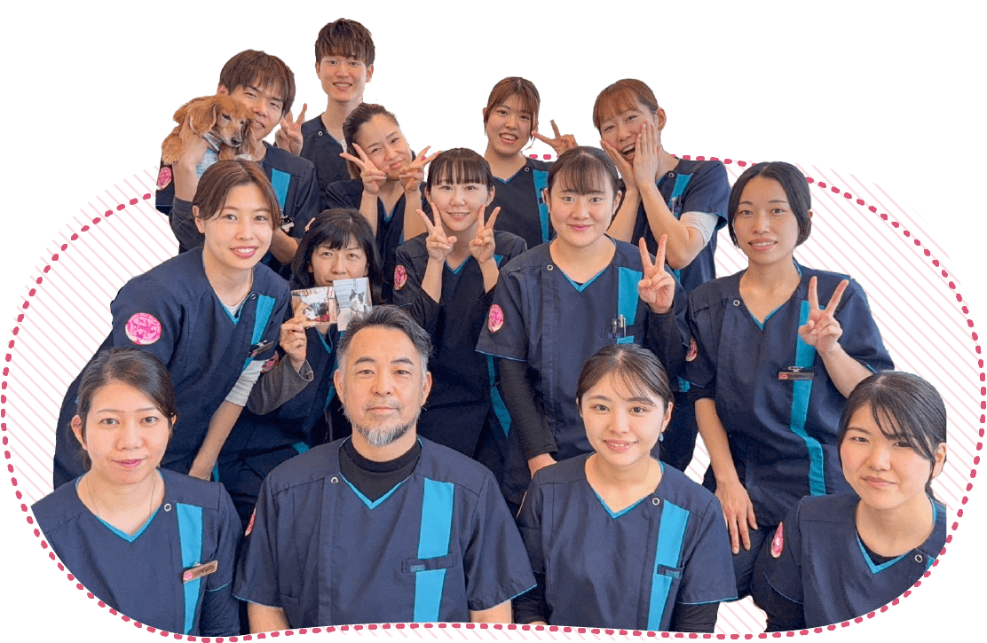 マール動物病院の口コミ評判を徹底検証！選ばれる理由と診療の実態