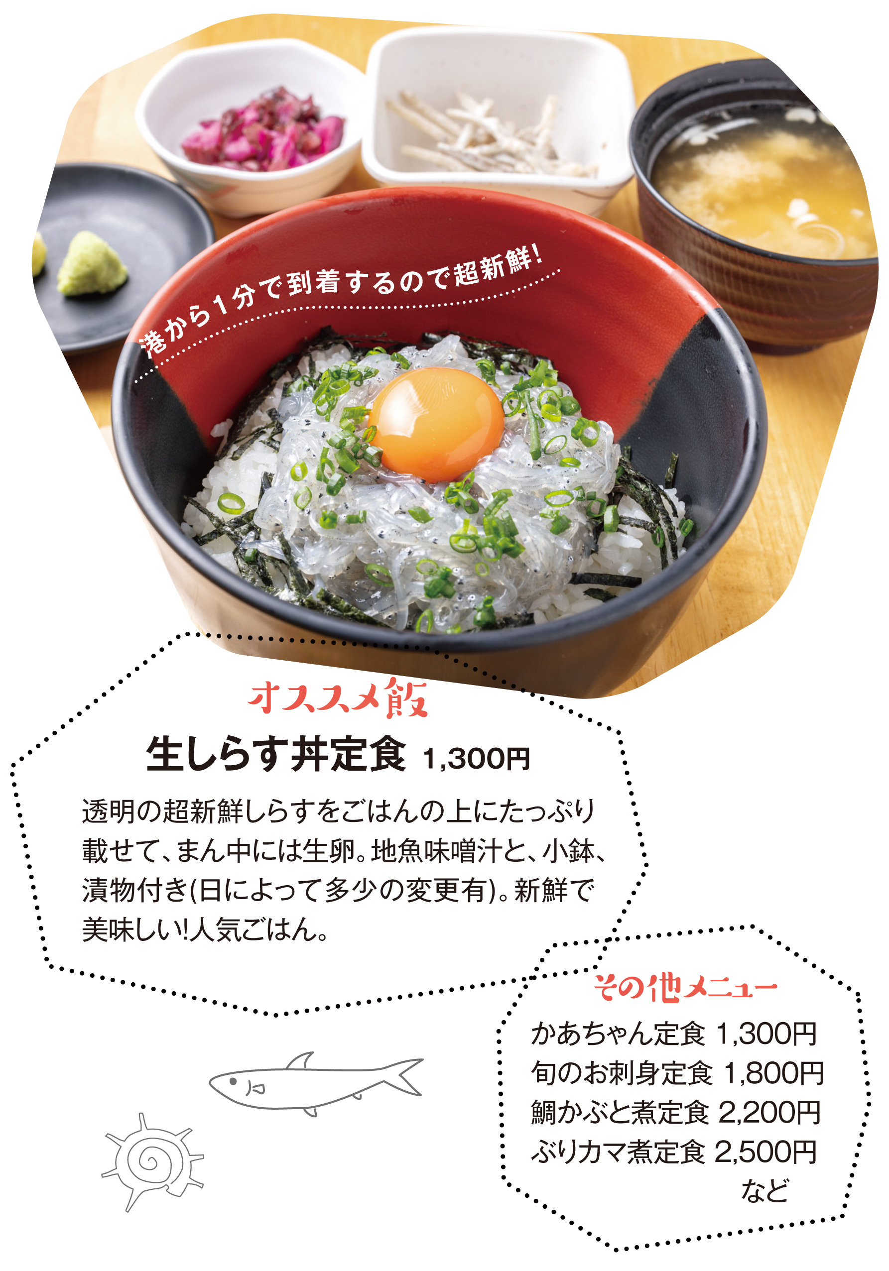 大洗かあちゃんの店完全攻略！生しらす丼の評判と混雑回避術