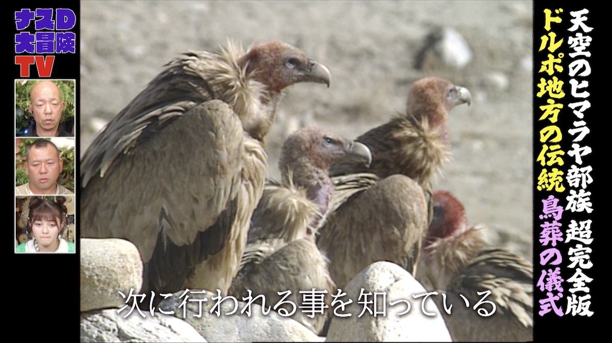 鳥葬はなぜ行われるのか？チベットの死生観と現代のリアルを徹底解説