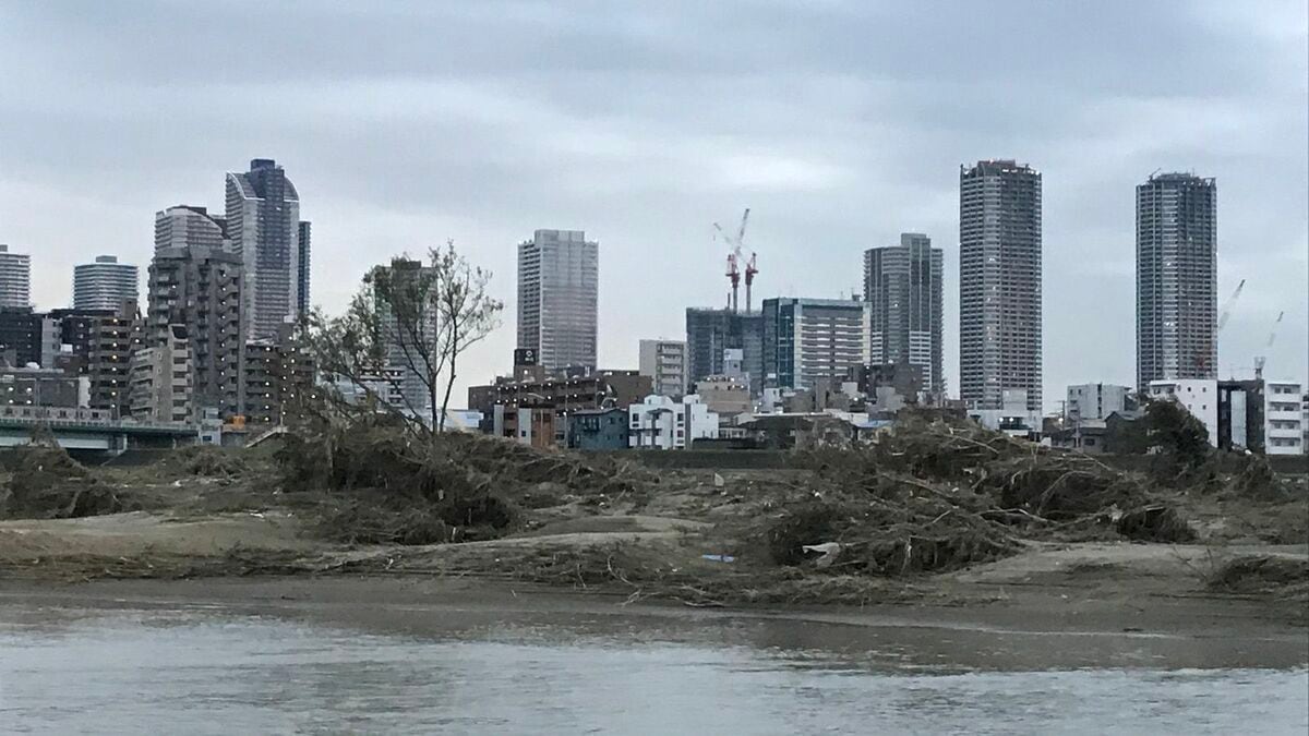 武蔵小杉の浸水被害の真相！タワマン被災と治水対策の現在を徹底追跡
