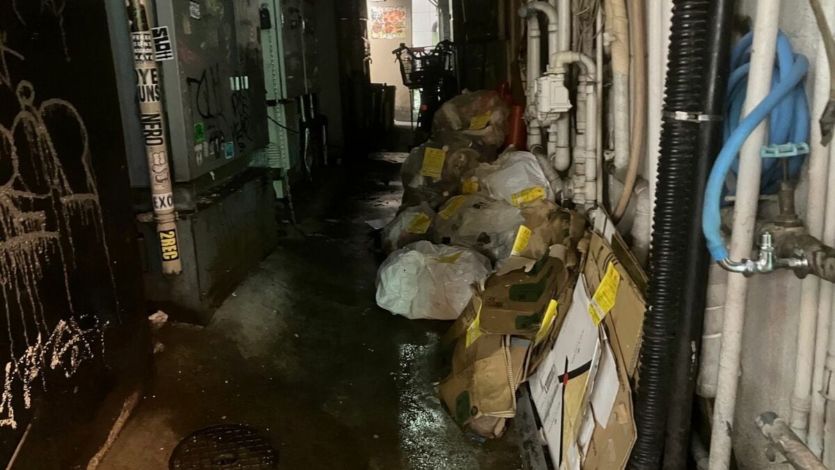 歌舞伎町ネズミ大量発生の真相！巨大化の理由と新宿区の最新駆除作戦
