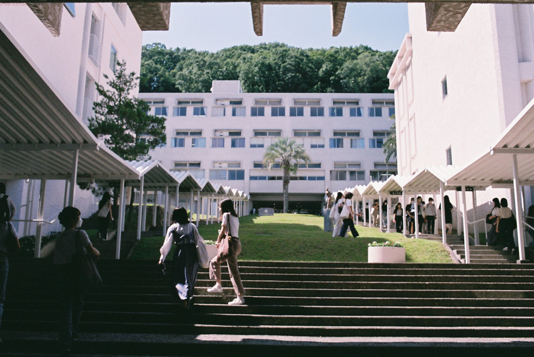 2026年最新：女子大再編の波と甲南女子大学が仕掛ける「次世代型キャリア教育」の実動と現場評価