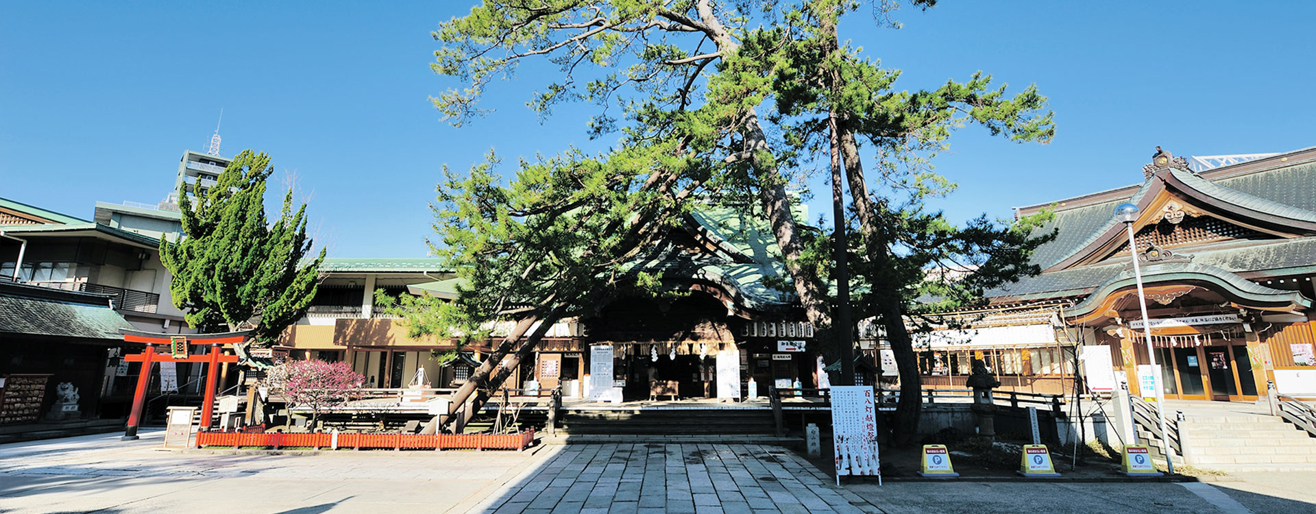 新潟総鎮守・白山神社の縁結びが最強と呼ばれる真相と2026年最新参拝ガイド