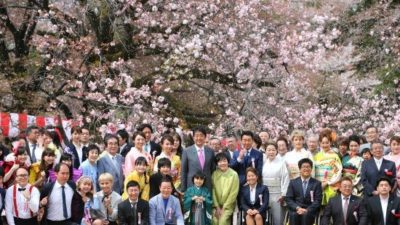 【必見】 桜 を 見る 会 話題のバズ動画・画像 #982