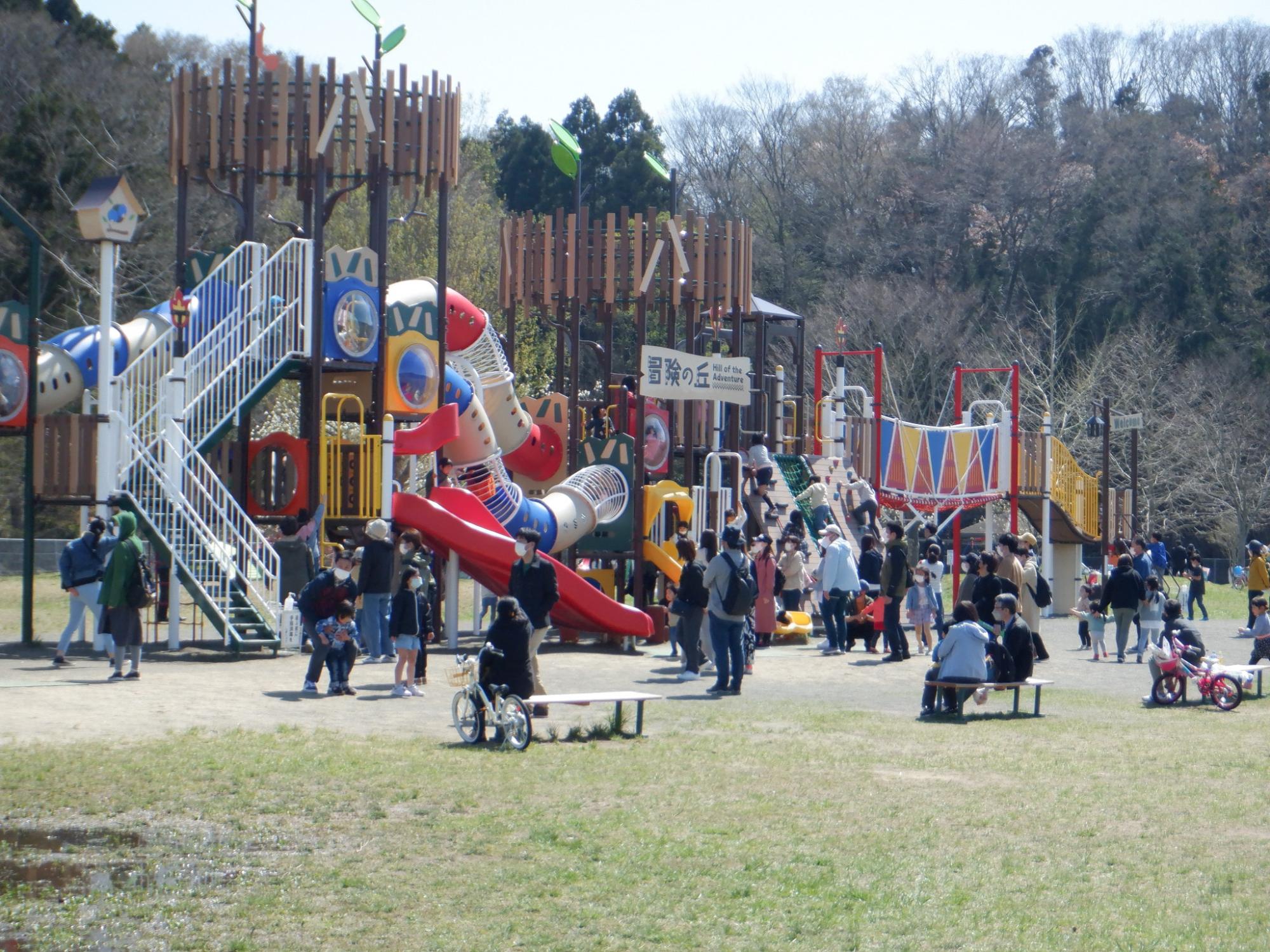 モリリン加瀬沼公園2026完全攻略！Bbq予約の真相と満車回避術