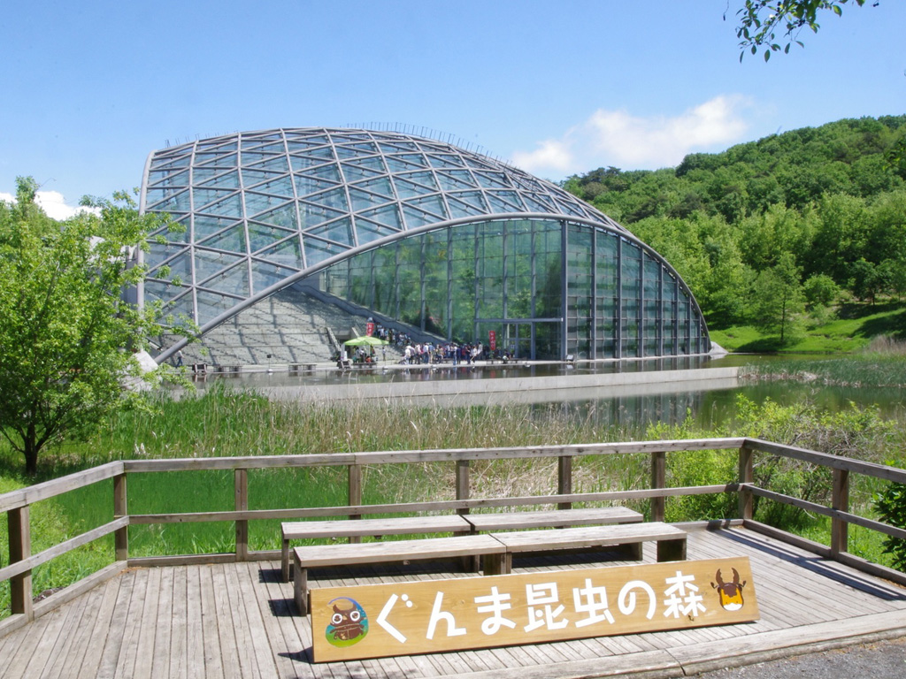 ぐんま昆虫の森2026完全ガイド｜知るべき注意点と料金・見どころ解説