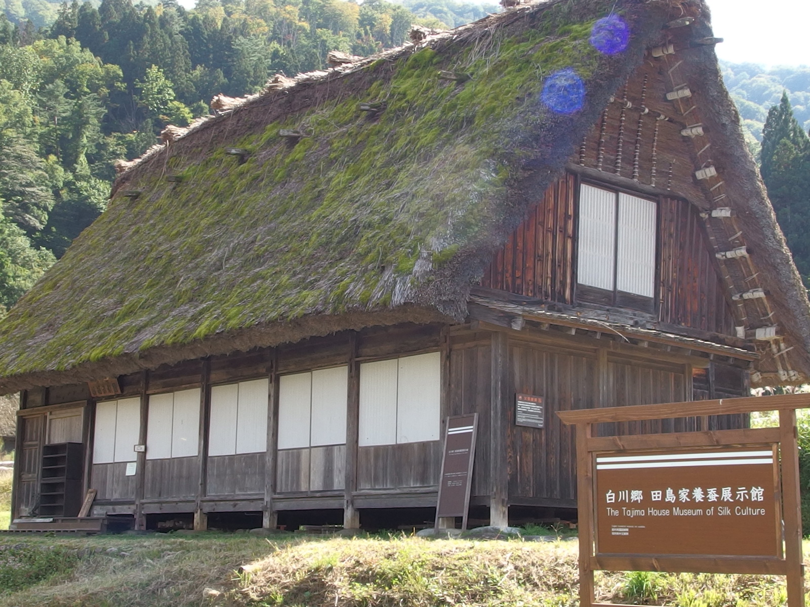 世界遺産の深層！田島家養蚕展示館の見どころと歴史の真相に迫る