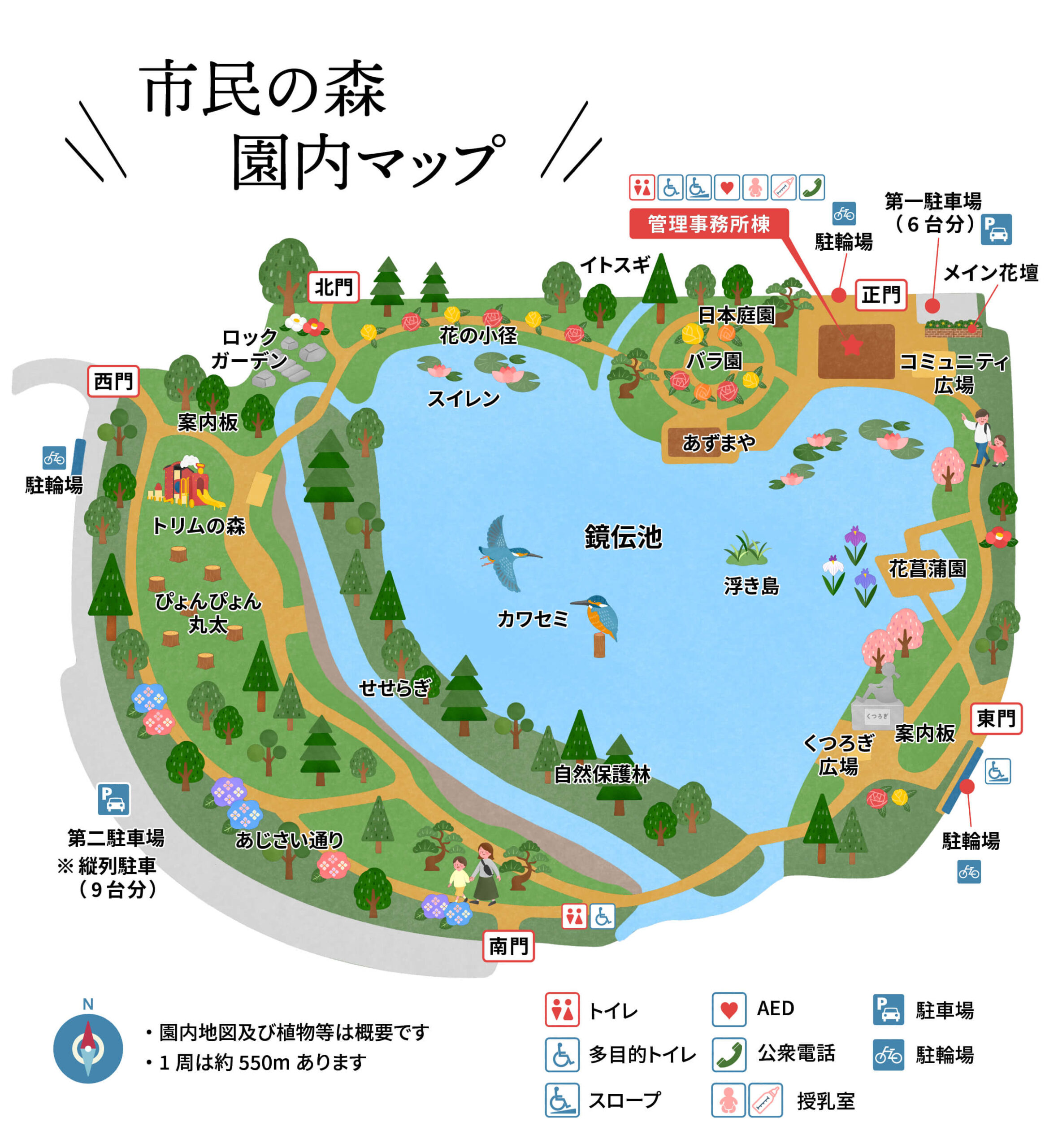 市民の森が人気の理由とは？2026年最新の穴場施設と混雑回避策を検証