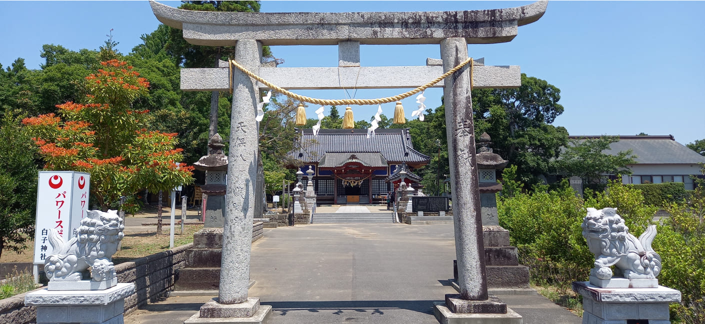 白子神社の白蛇伝説とご利益｜美男美女・縁結びの真相を徹底取材