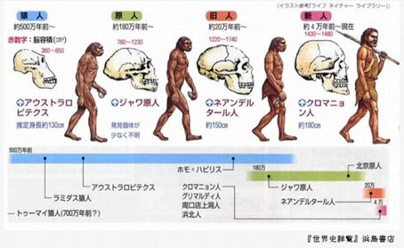 【熱愛】 人類 の 進化 図 最新熱愛噂まとめ #679