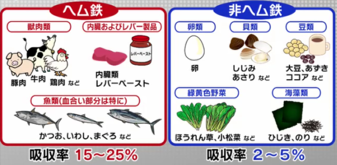 鉄分の多い食品ランキング！レバー・ひじきの真実と効率的な摂取法