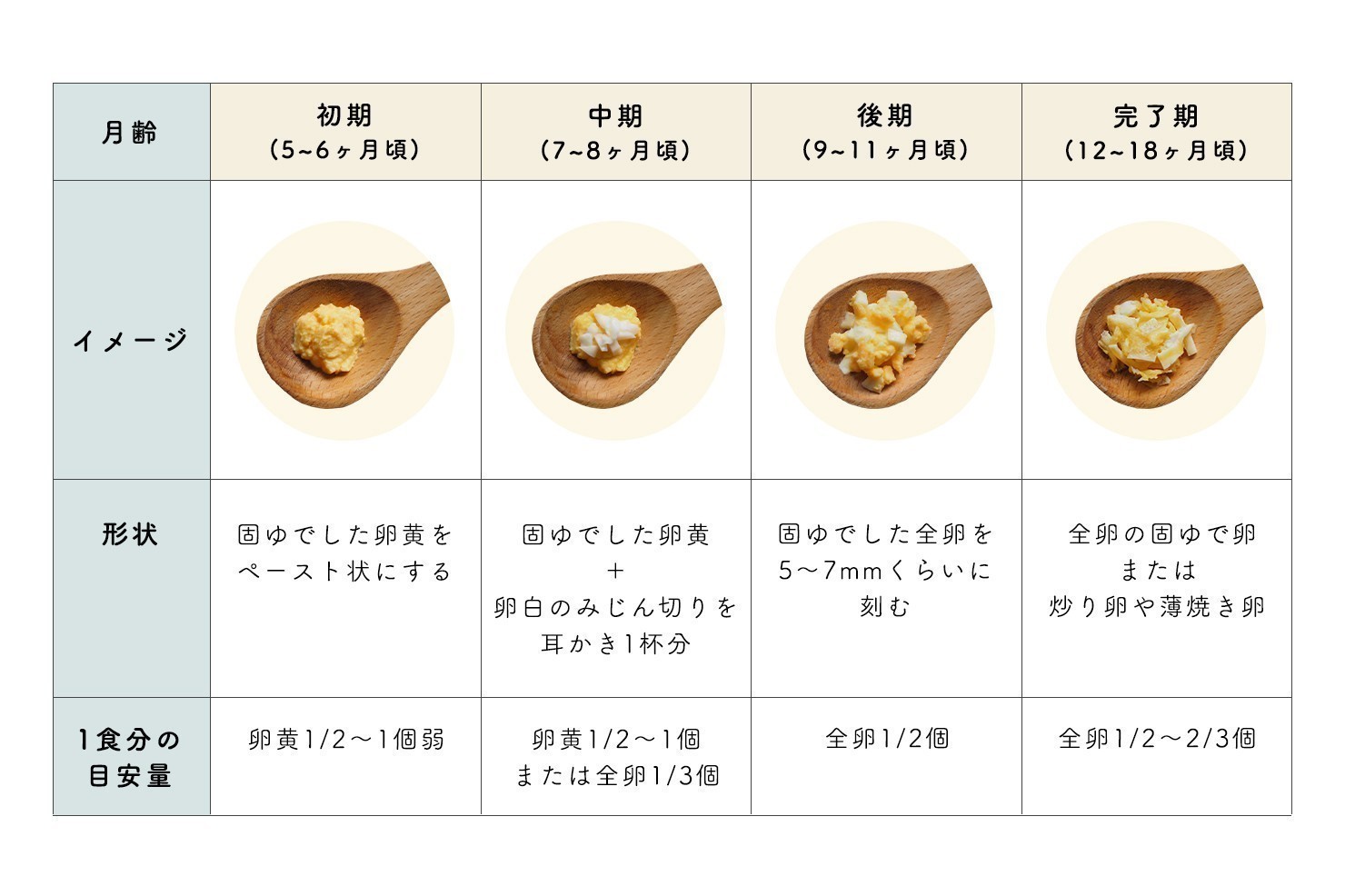 離乳食の卵はいつから？安全な進め方と失敗しない完全スケジュール