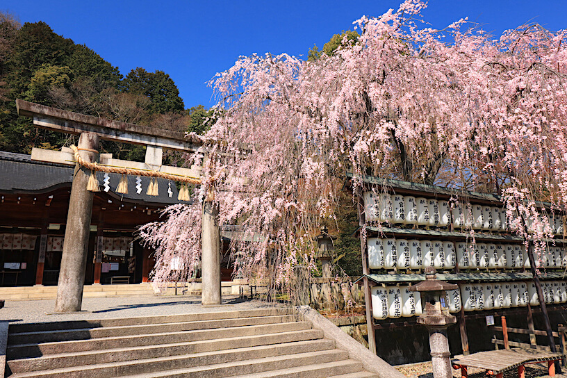 大石神社が「大願成就」最強と呼ばれる理由｜赤穂・京都の違いと御朱印