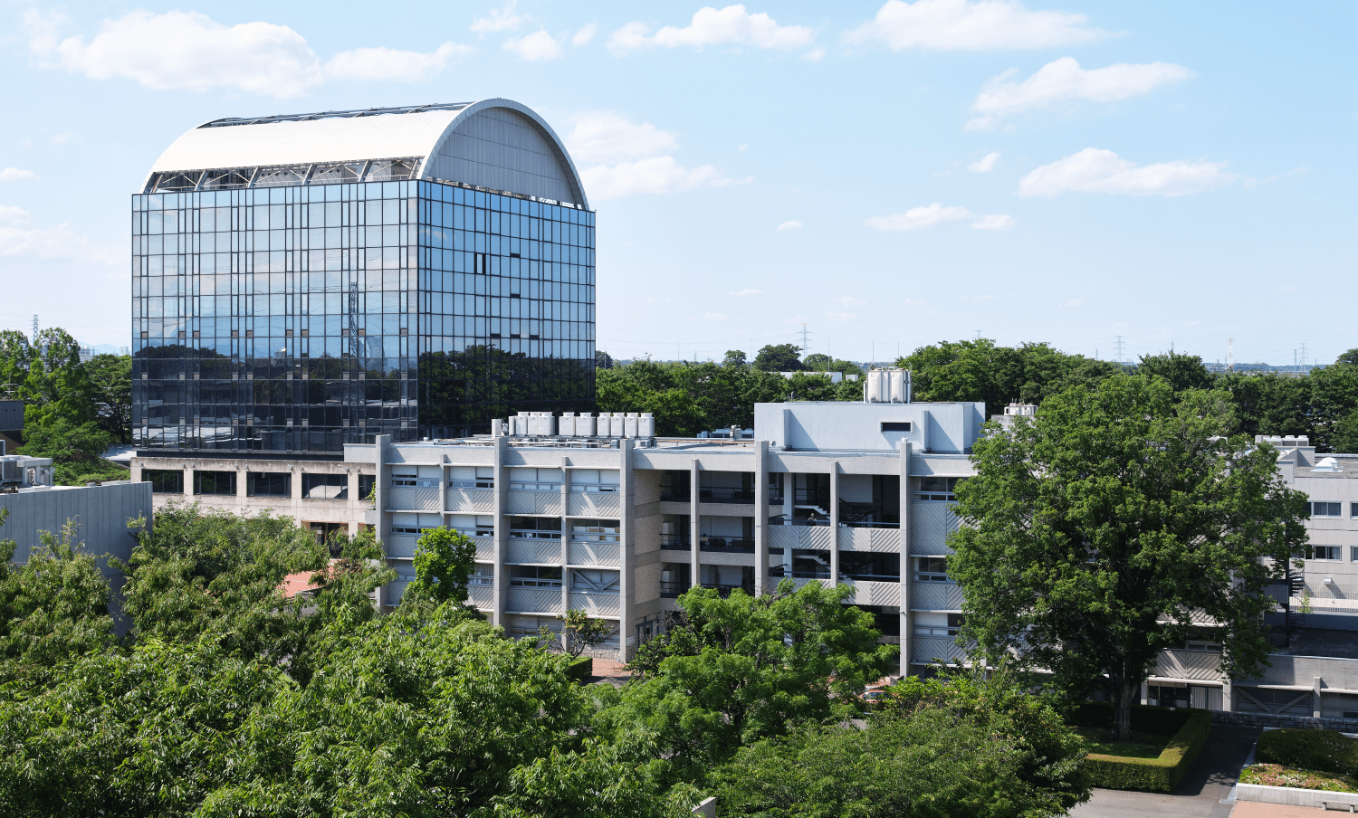 名門・武蔵野美術大学の強烈な引力！倍率激変と就職の深層を解剖