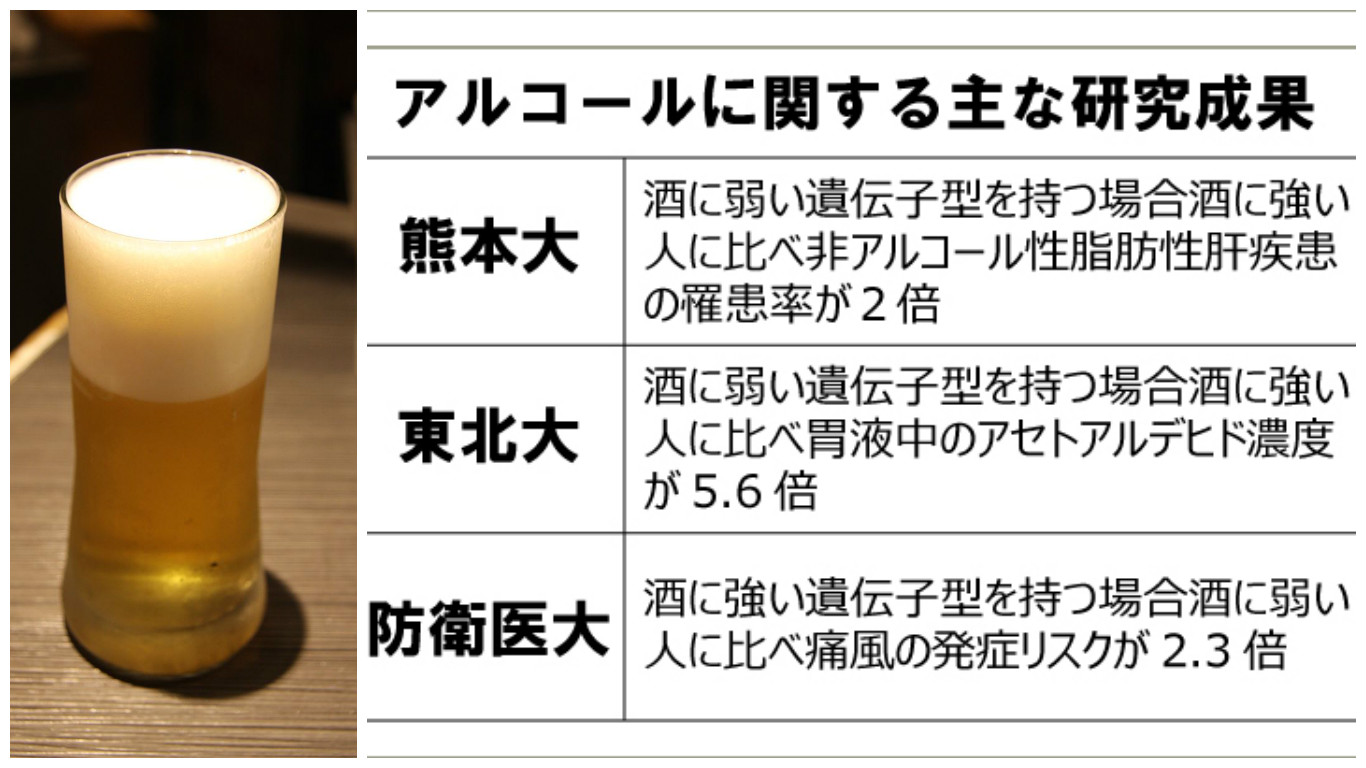 酒に強い人の決定的な特徴とは？遺伝・酵素の仕組みと健康リスクの真実