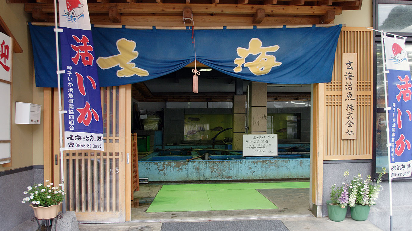 宗像「お魚処玄海」はなぜ人気？名物いか活造りの真相と失敗しない混雑回避術