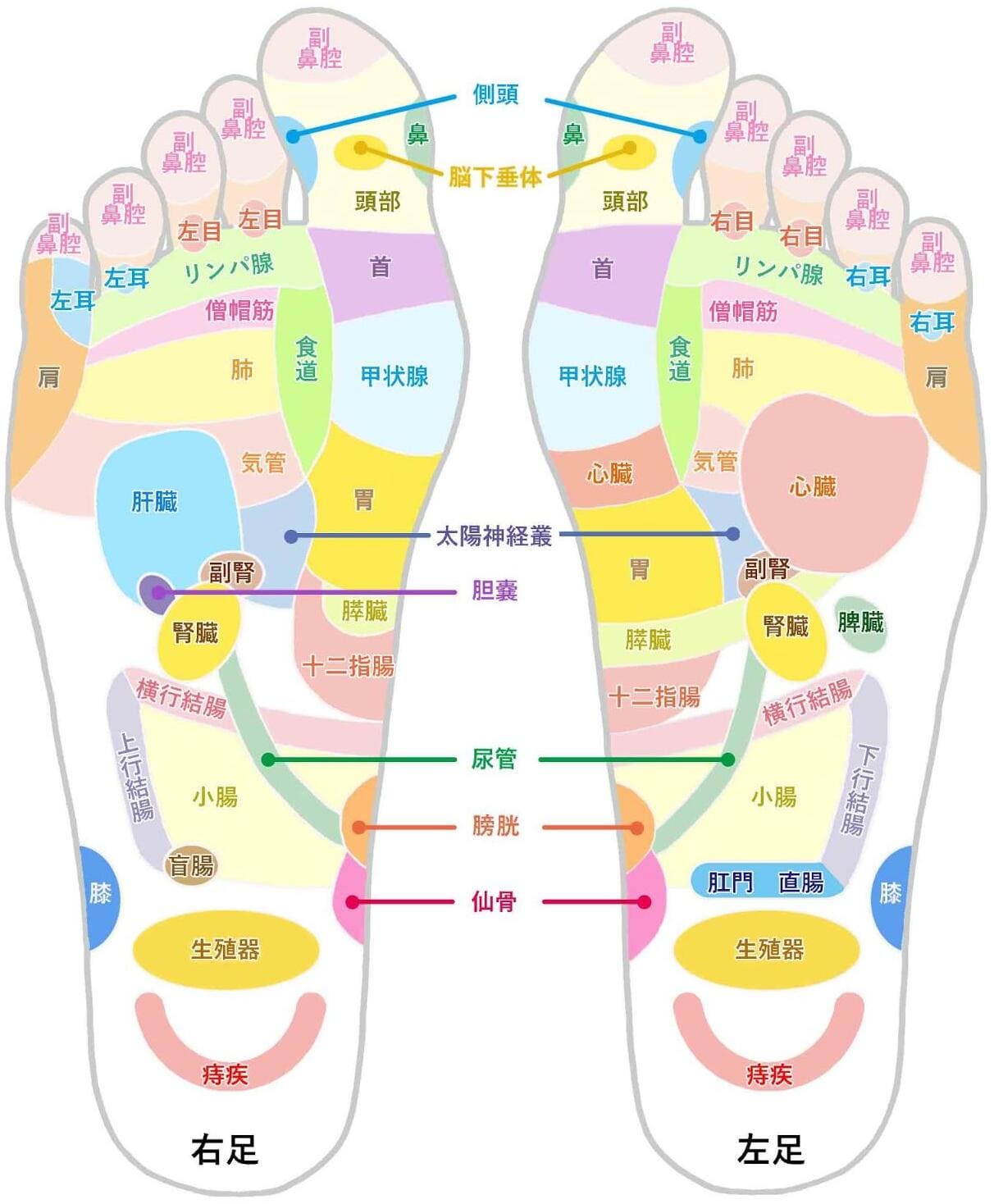 足の甲のむくみがひどい原因とは？片足の腫れ・危険な病気と受診科を徹底解説