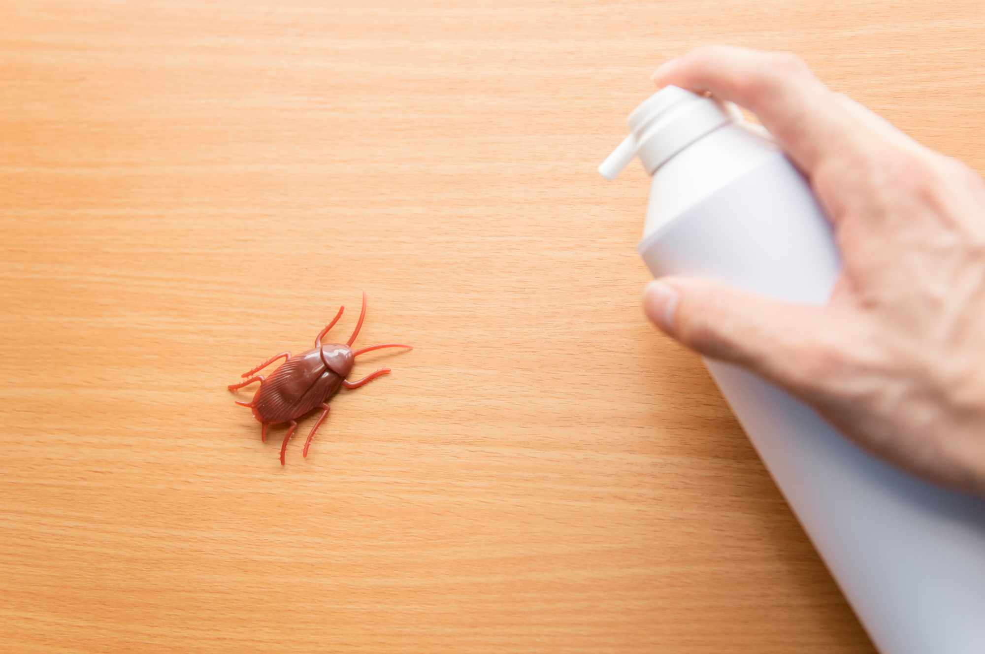 パーツクリーナーでゴキブリ瞬殺？即死の科学と室内噴射の引火リスク